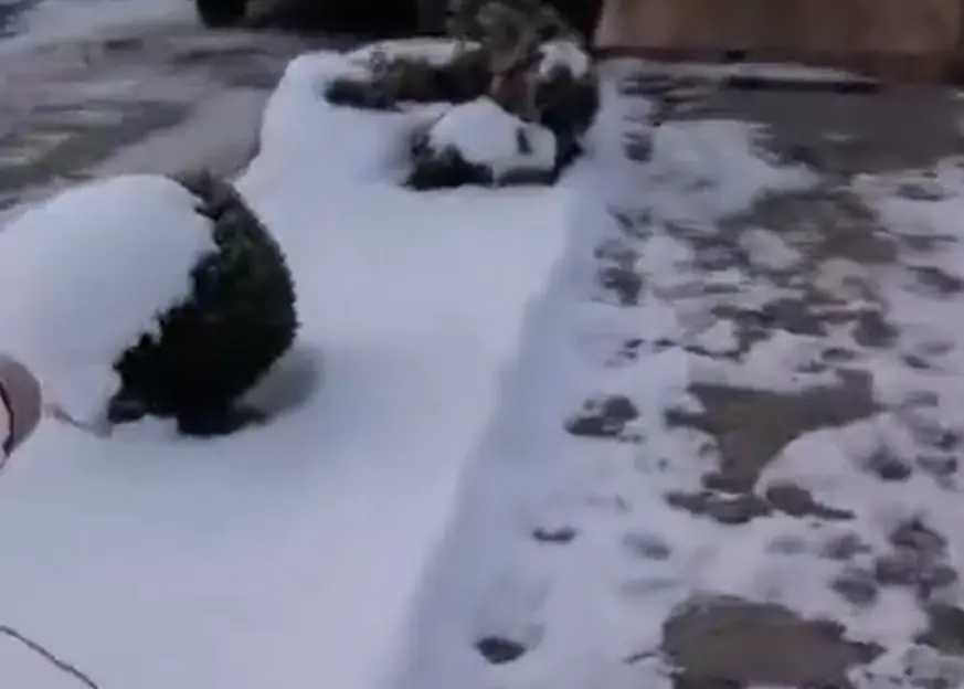 Был снеговик и внезапно⁠⁠