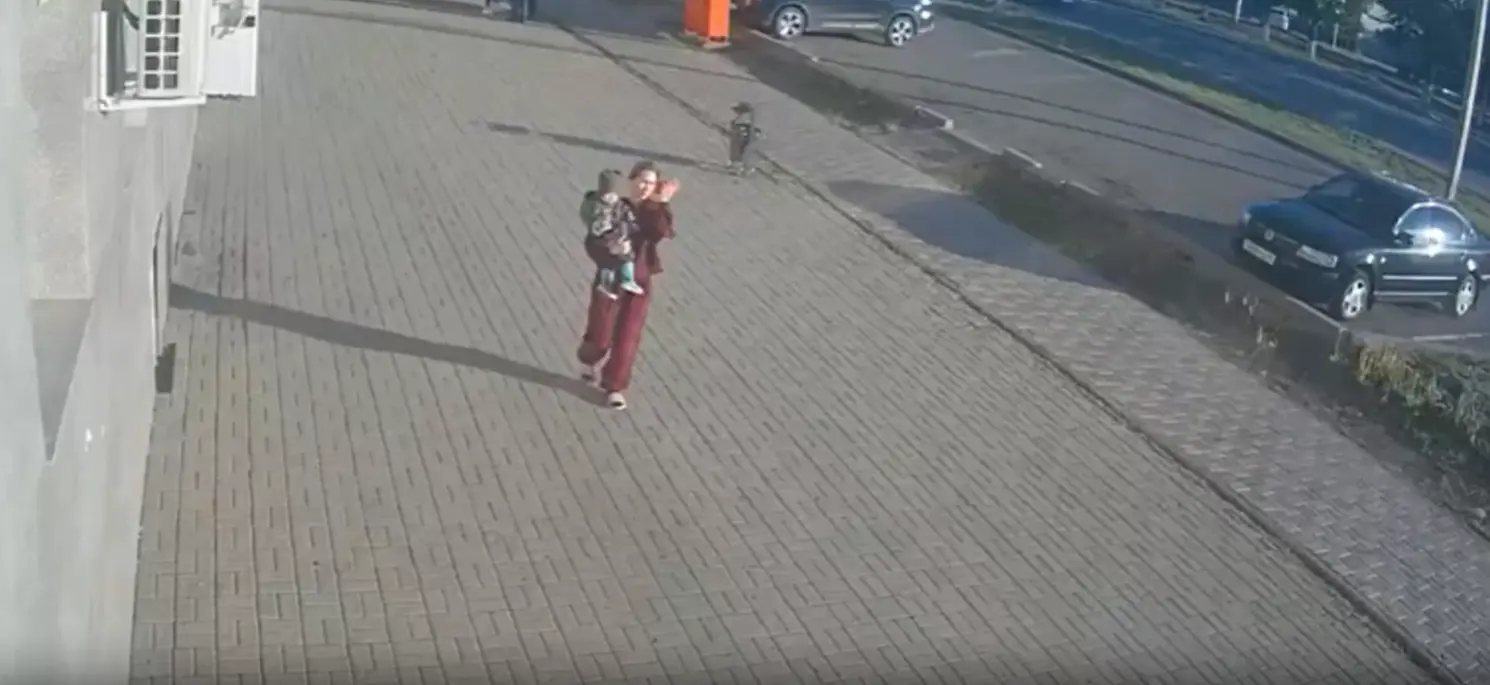 Слепошарый развозчик