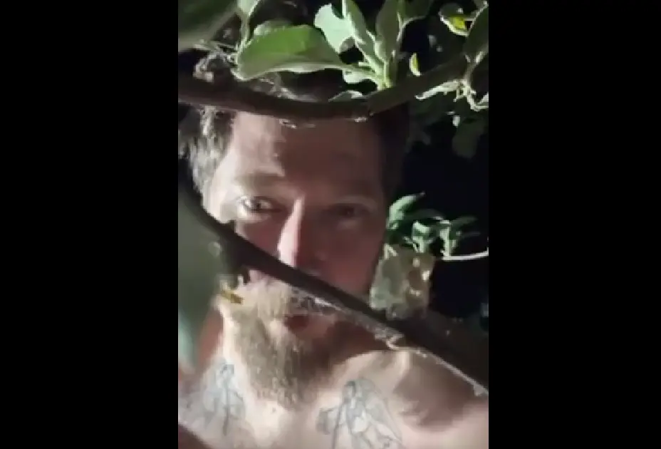 Зачем вам бензин?