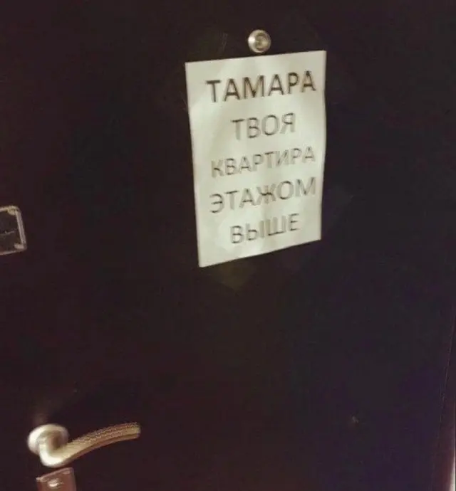 Юмор
