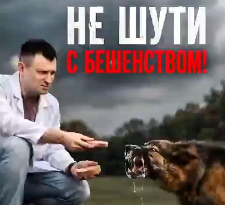 Не шутите с бешенством