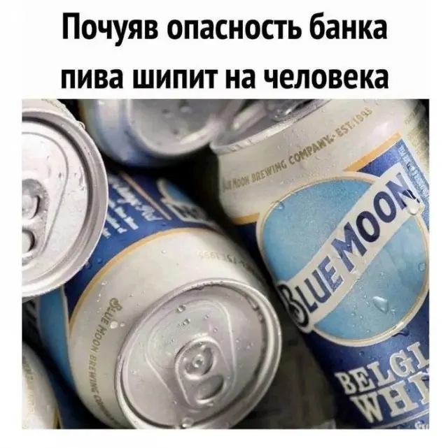мемы