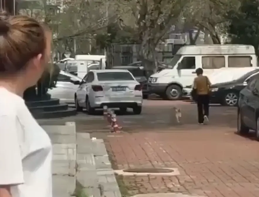 У этого пса день явно задался⁠⁠