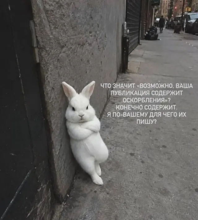 Веселые картинки