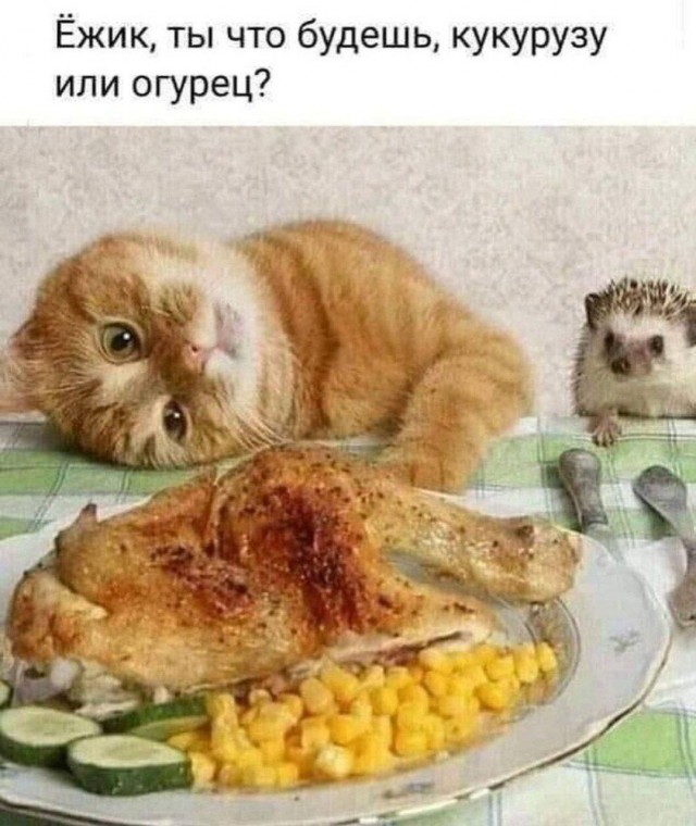Субботние мемы