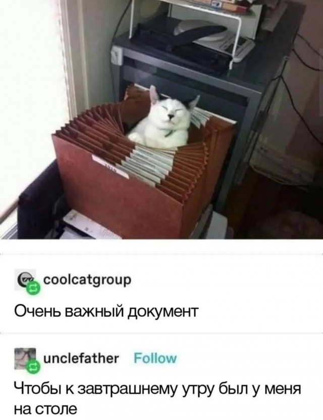 Субботние мемы