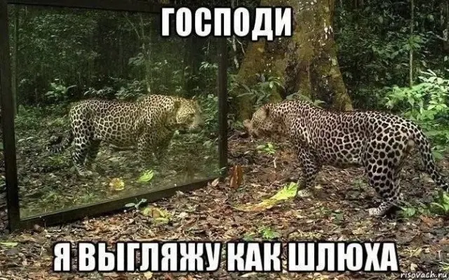 приколы