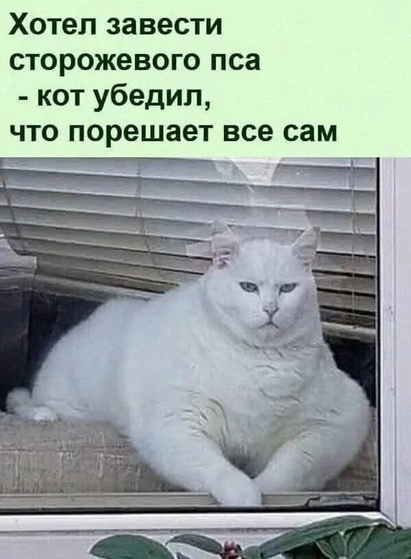 приколы