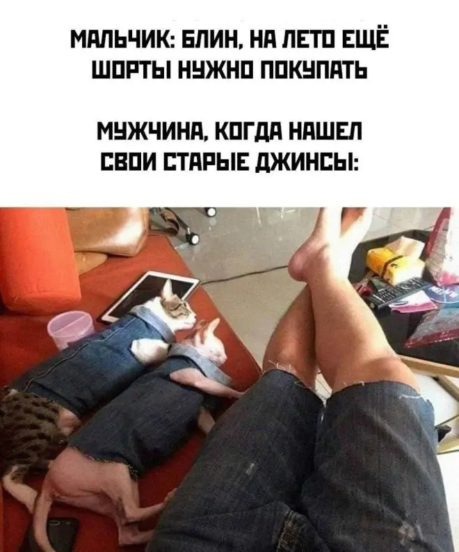мемы