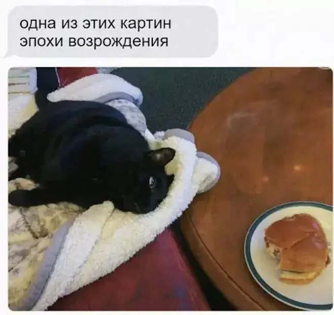 Новые мемы