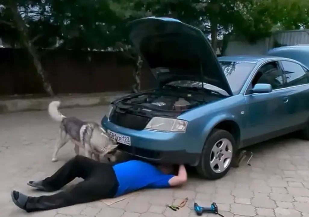 «Дяденька, я знаю, что у вас сломалось!»