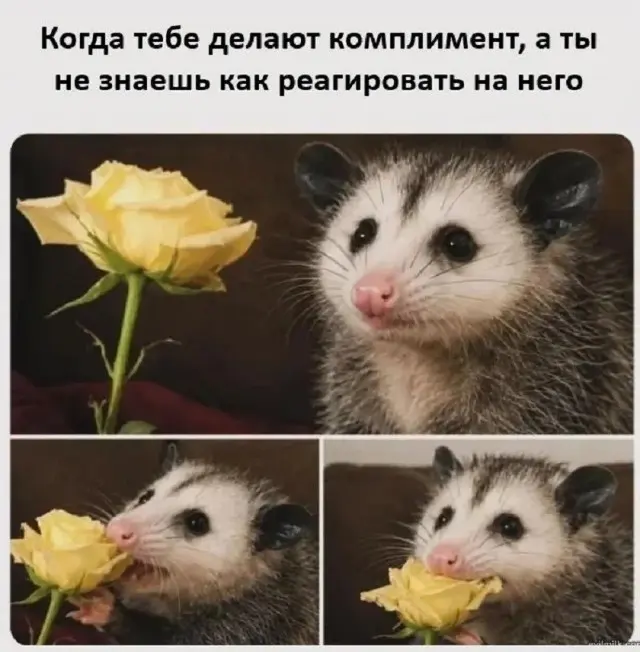 Юморок
