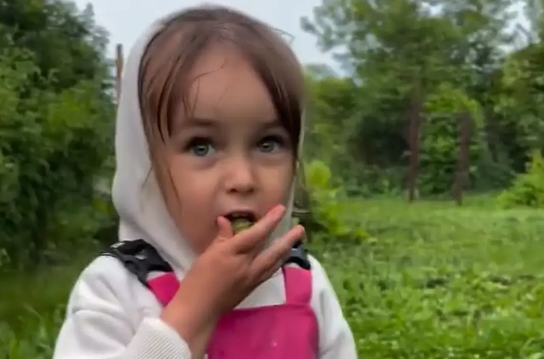 Крыжовник⁠⁠