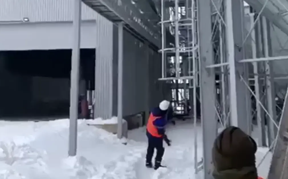 Самый дорогой снежок в его жизни⁠⁠