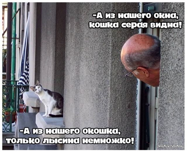 Вечерние мемы
