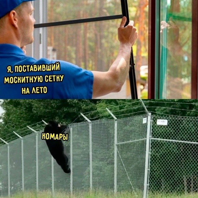 Вечерние мемы