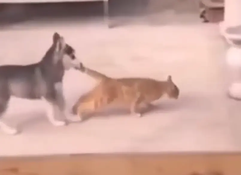 Тренируйся, брат!⁠⁠
