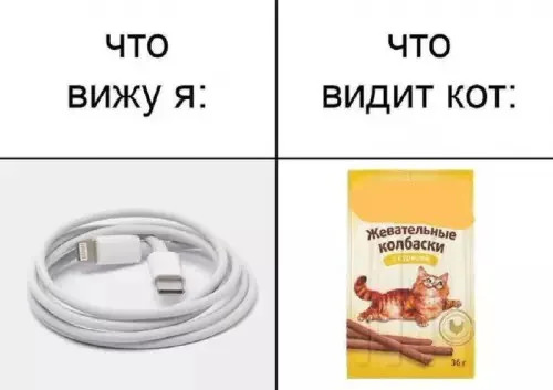 Новы мемы