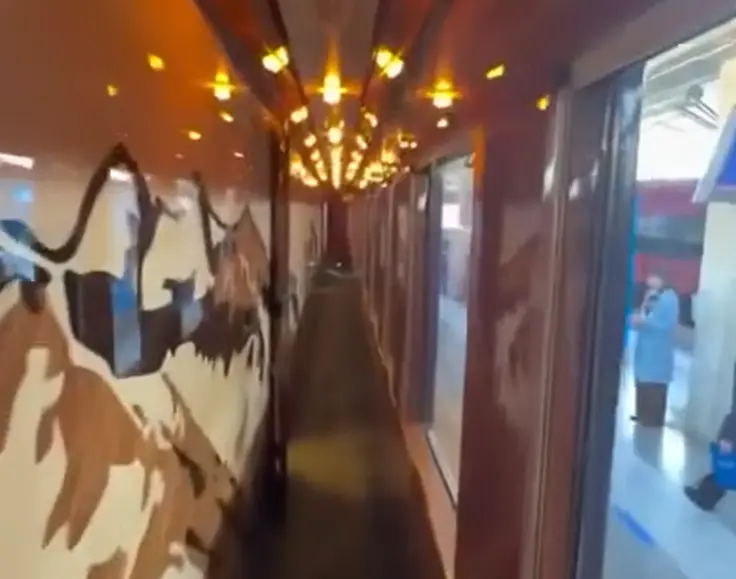 Вот это вагон!⁠⁠