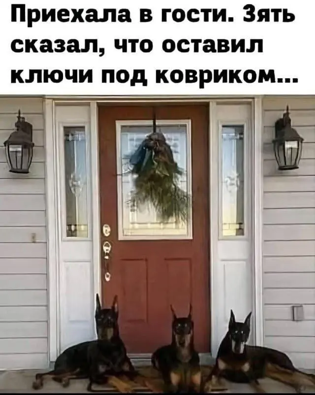 подборка мемов