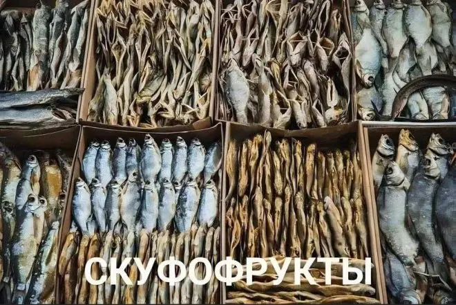 мемы