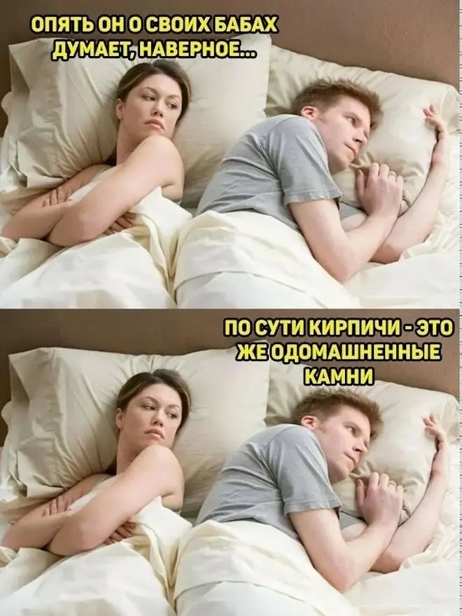 мемы