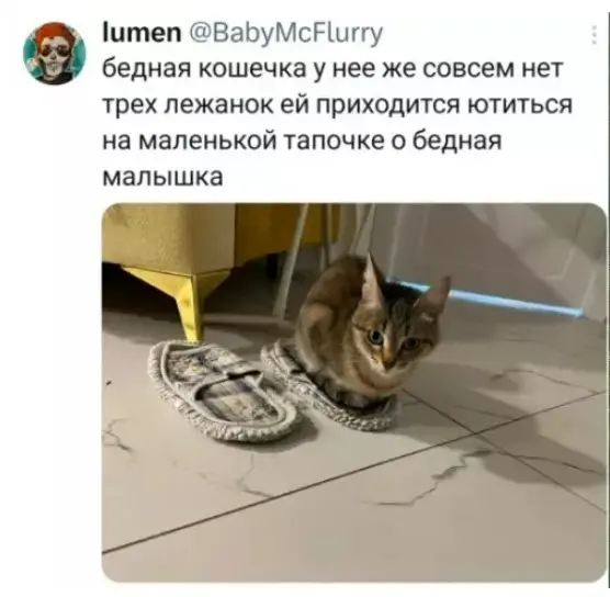 Веселые картинки