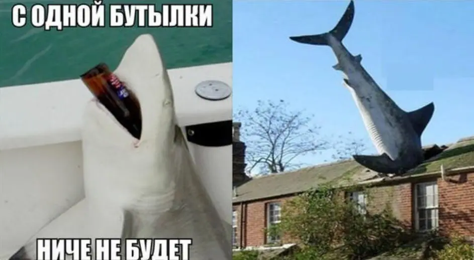 Подборка мемов и приколов