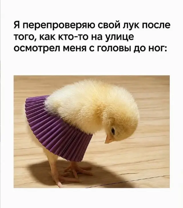 подборка мемов