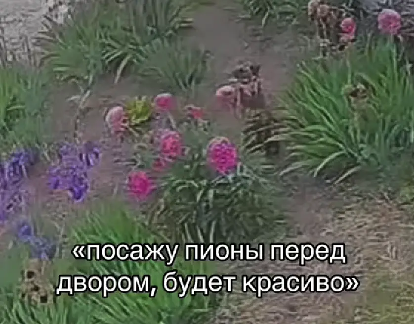 Спасибо, посадили⁠⁠