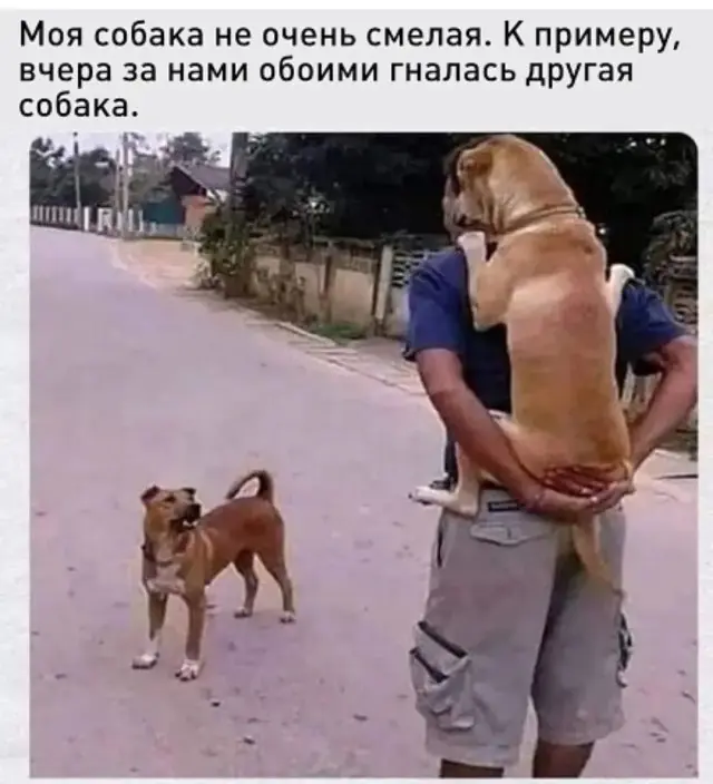 Юморок