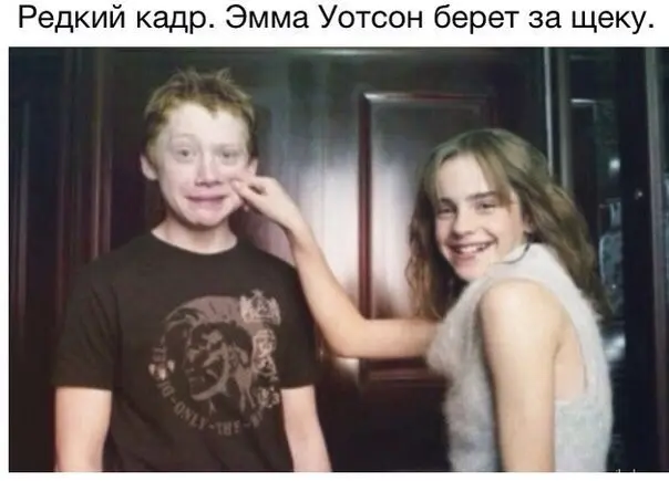 приколы
