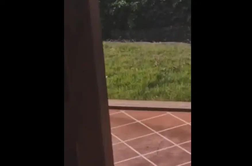А ну иди сюда, мать твою...
