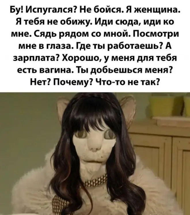 Новые мемы