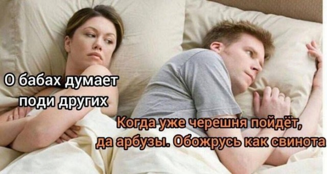 Вечерние мемы