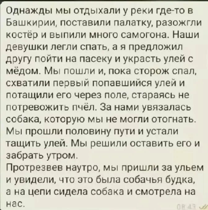 Решили украсть улей