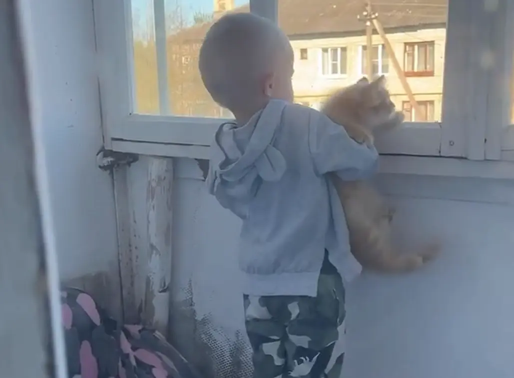 У каждого свой рыжик