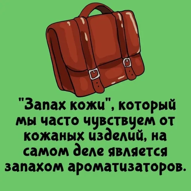 Интересные факты на все случаи жизни