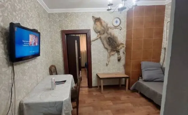 Девушка искала жилье в Пятигорске, но нашла настоящий алмаз по фэншую