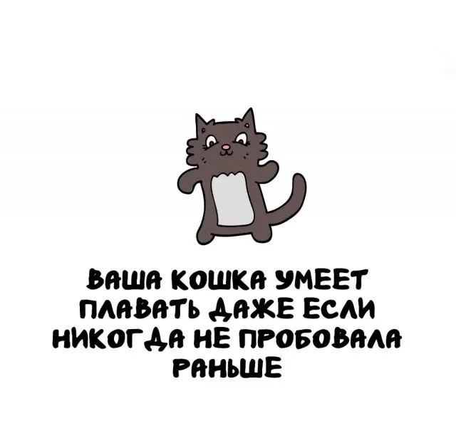 Интересные факты на все случаи жизни