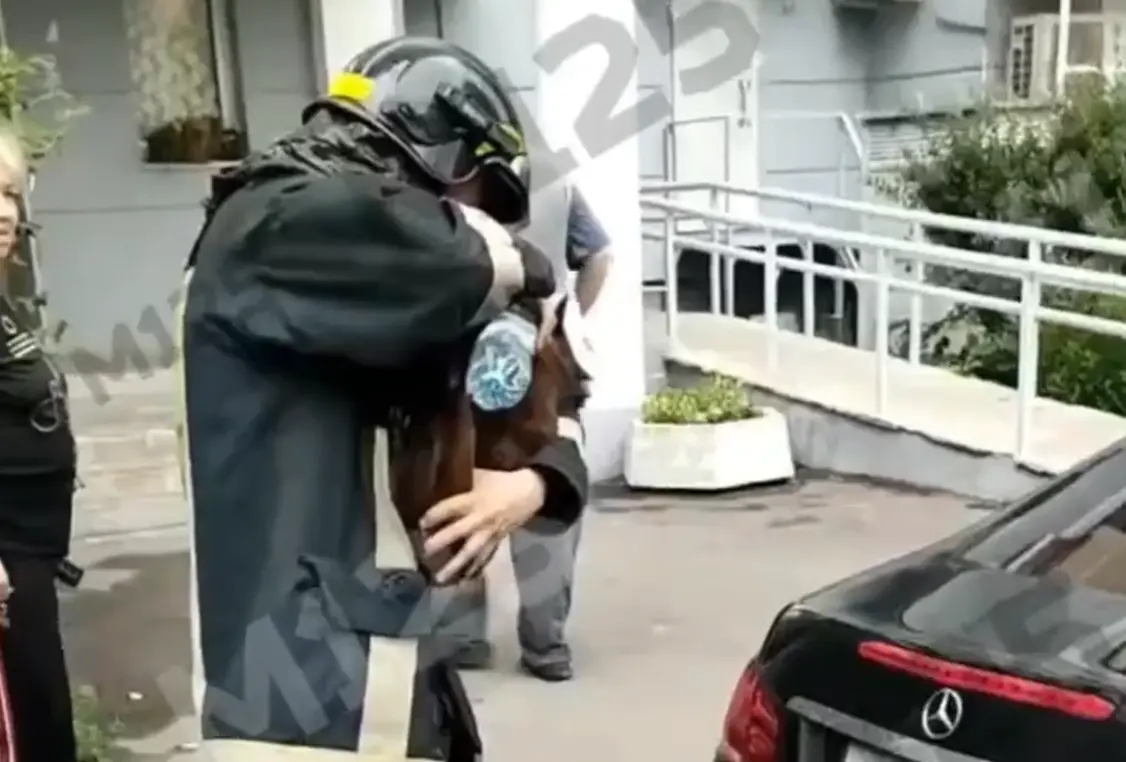 Спасатель отпаивает кота после пожара в доме на бульваре Дмитрия Донского⁠⁠