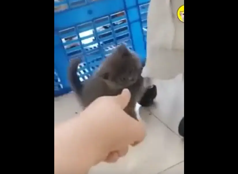 Ты в меня пальцем не тычь!⁠⁠