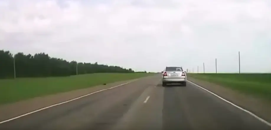 Дорогу профессионалам!