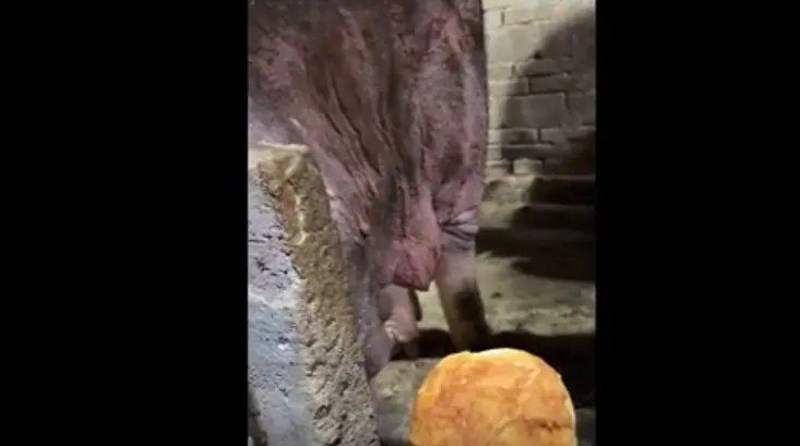 А это вообще кто?