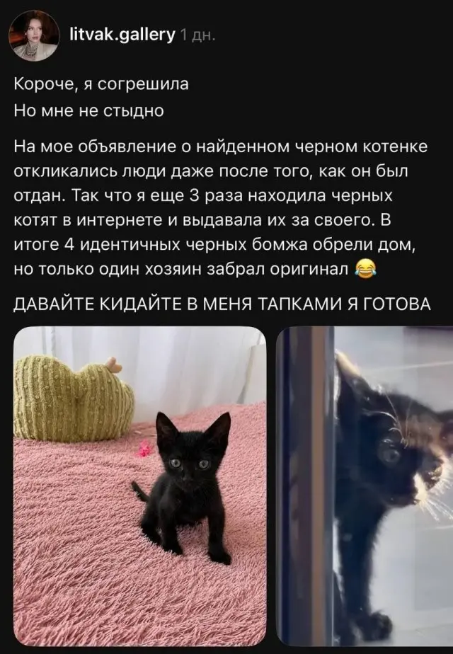Мошенница