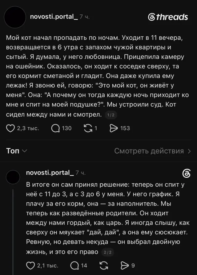 Котька хорошо устроился