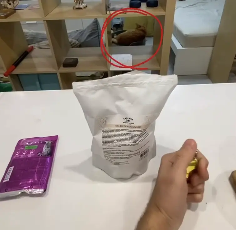 Ты узнаешь его из тысячи...