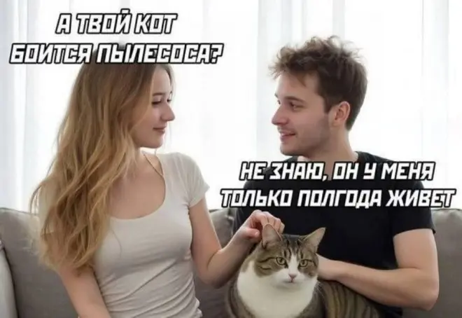 Смешные мемы