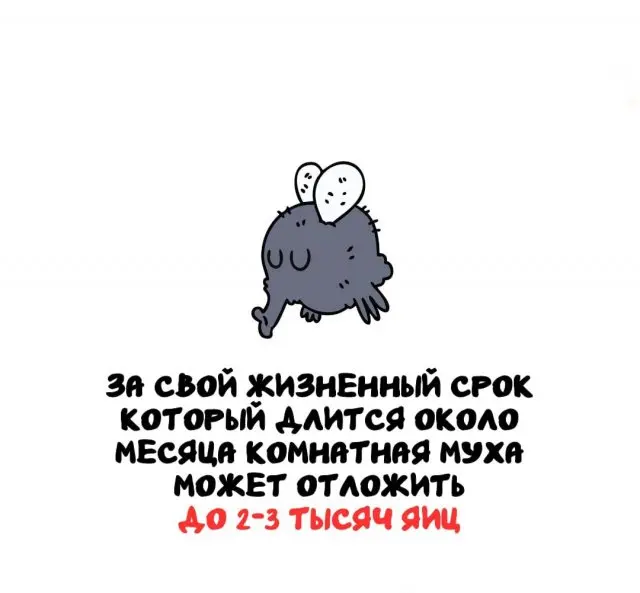 Интересные факты на все случаи жизни (15 фото)