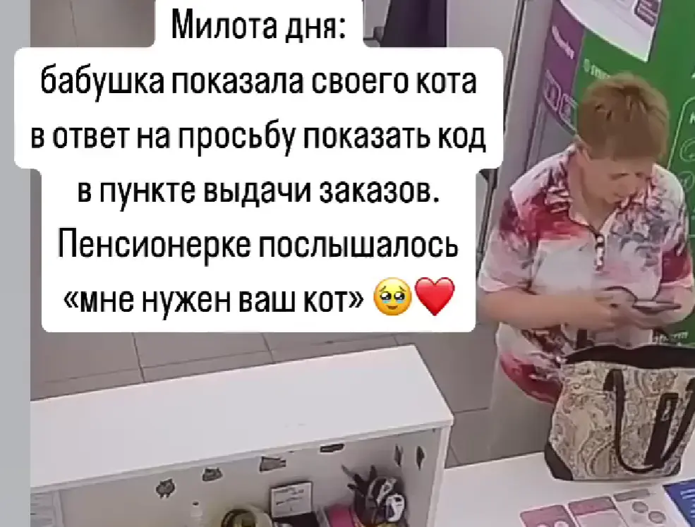 На ПВЗ бабушка вместо того, чтобы показать код, показала фото своего кота